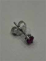 Orecchini Davite & Delucchi Donna in Oro bianco Rubino 0.20 Ct BB003469RB2 - BB003469RB2